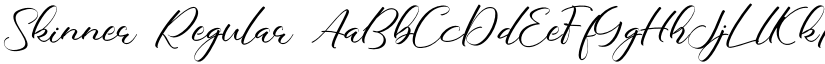 Skinner Regular font