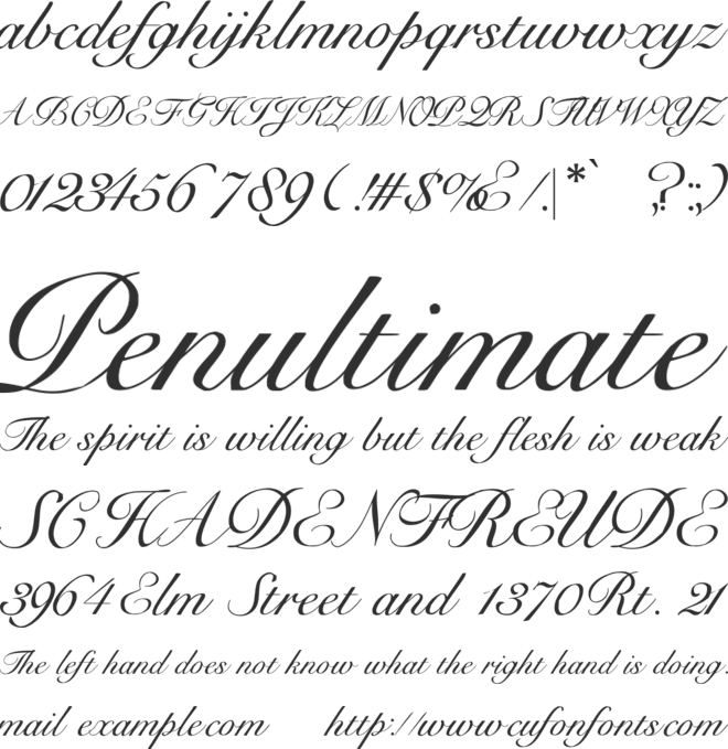 Flying Goodbye fonts font preview