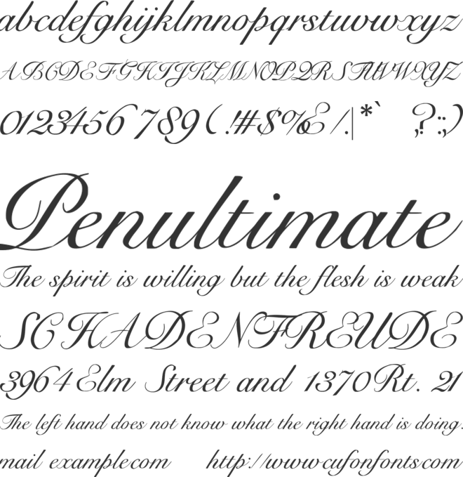 Flying Goodbye fonts font preview