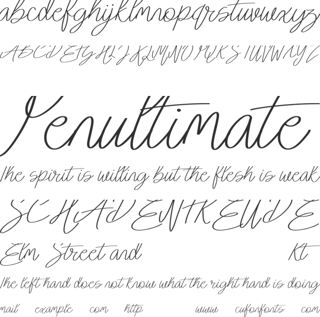 Summer Vibes font preview