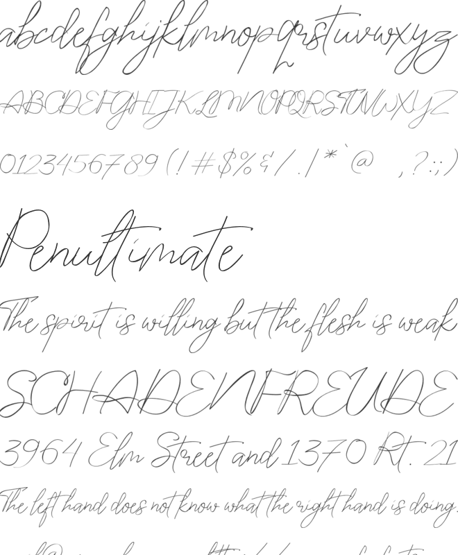 Attourney font preview