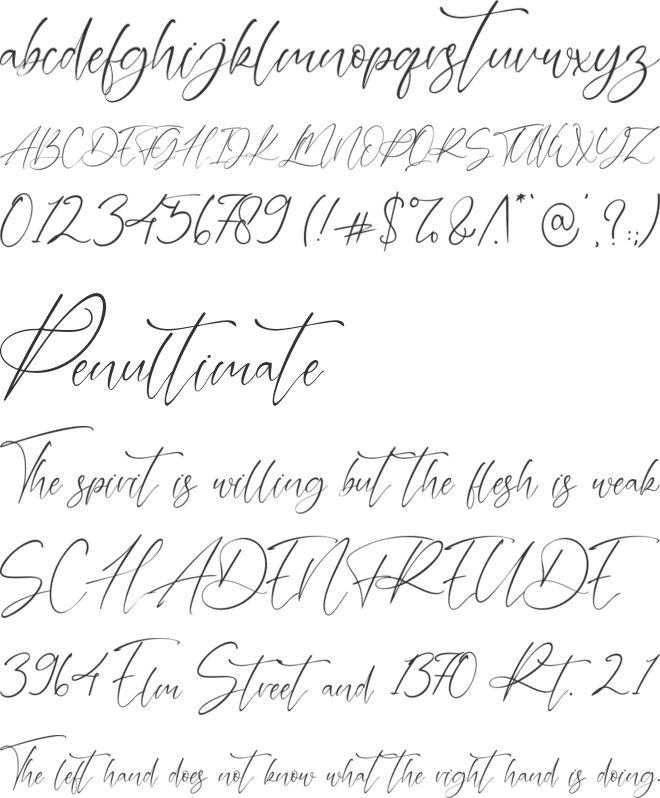 Danette Pricilla font preview