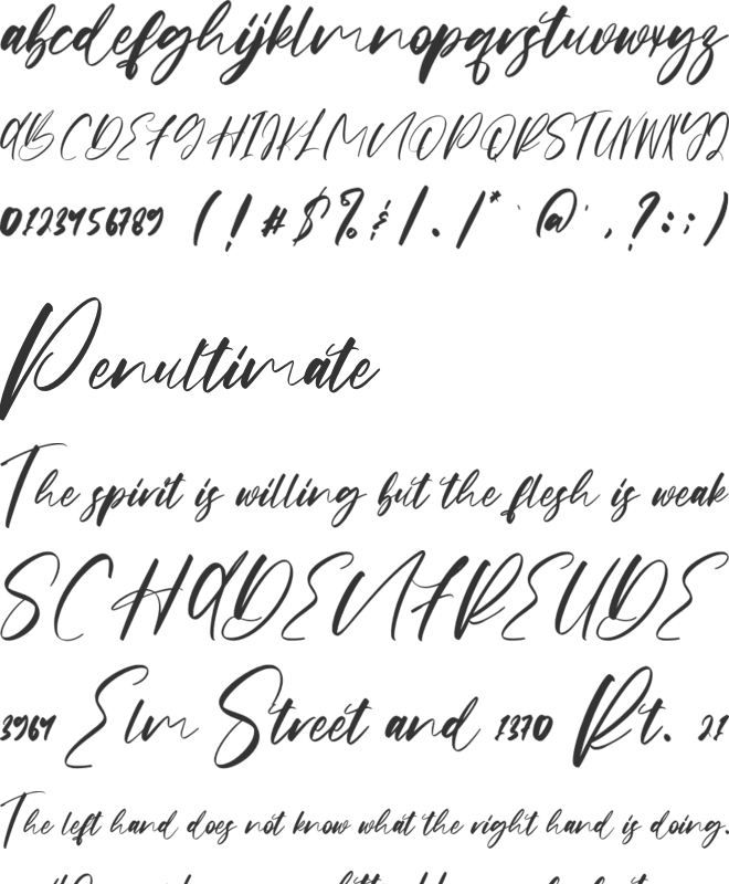 Origa Script font preview