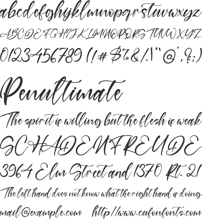 Branches font preview