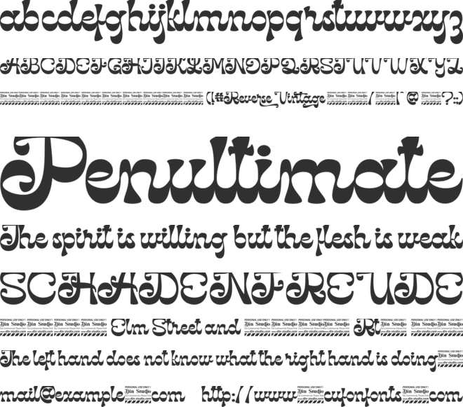Reverse Vintage Personal use font preview