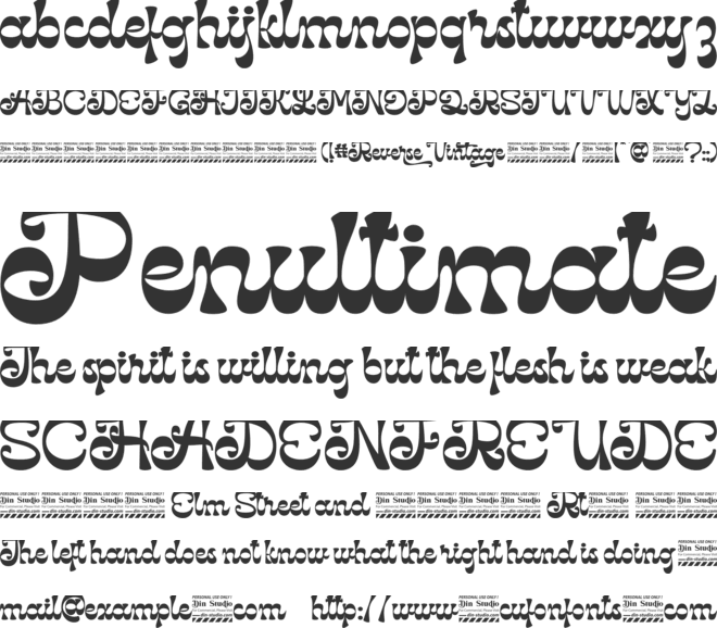 Reverse Vintage Personal use font preview