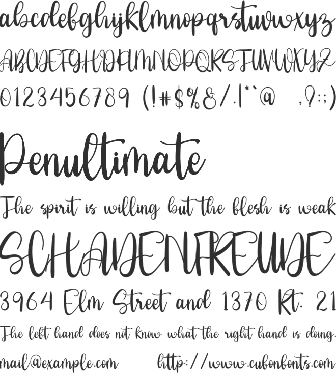 New Sinergetic font preview