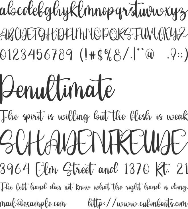 New Sinergetic font preview