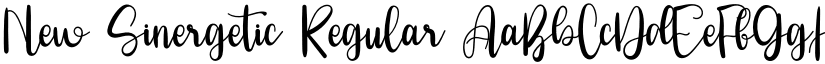 New Sinergetic Regular font