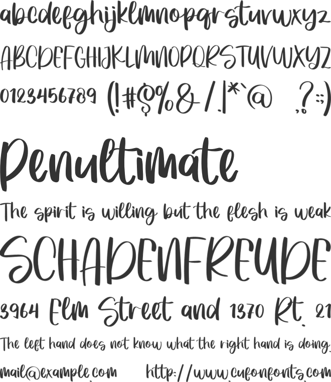 Rachels Snowlover font preview