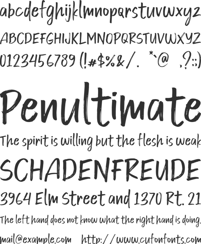Hey Brush font preview