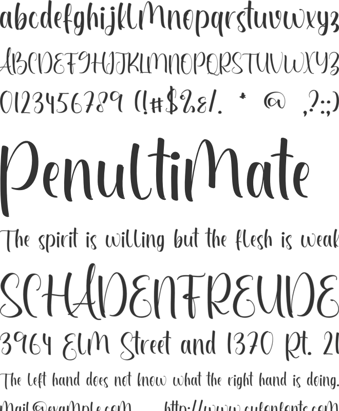 Zaniyah font preview