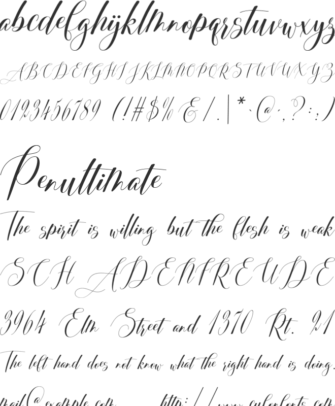 Brittany Coleman font preview