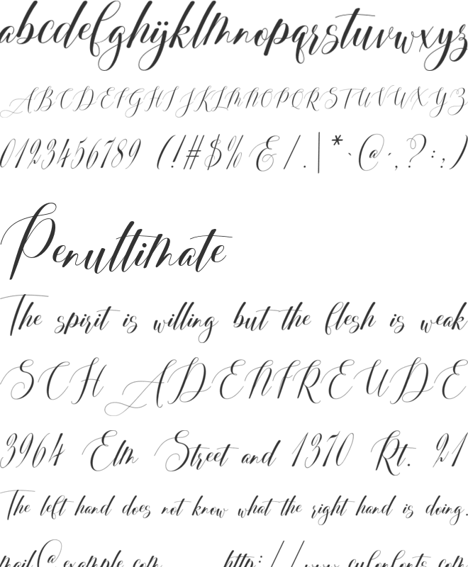 Brittany Coleman font preview