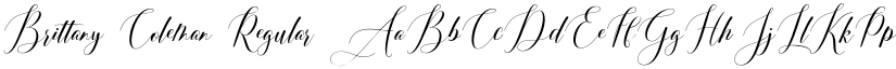 Brittany Coleman Regular font