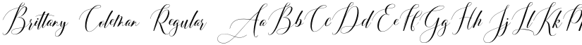 Brittany Coleman font download