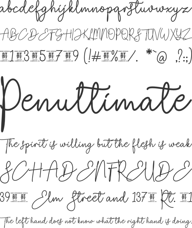 Timber Lake font preview