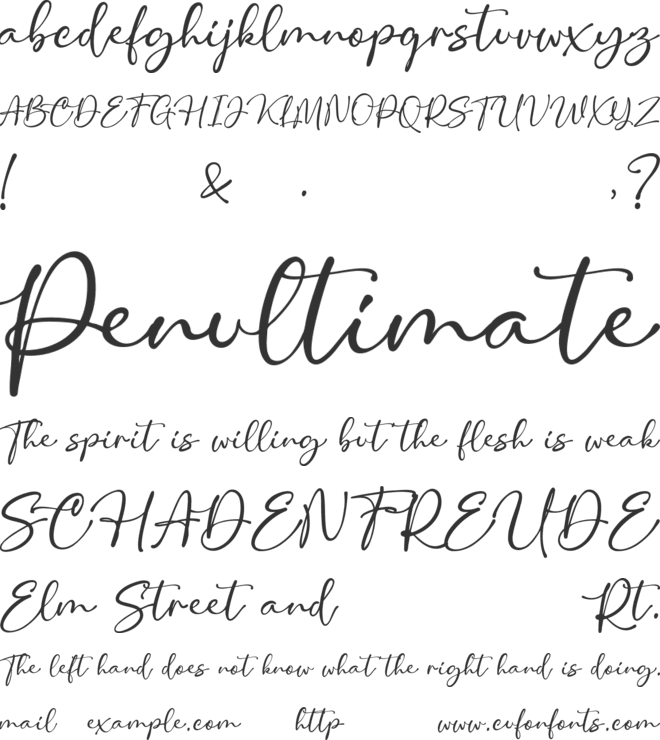 Miguella Charlotte font preview