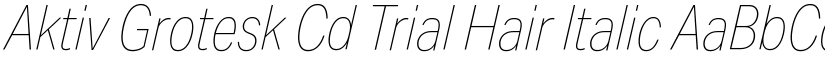 Aktiv Grotesk Cd Trial Hair Italic font