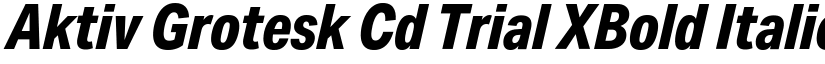 Aktiv Grotesk Cd Trial XBold Italic font