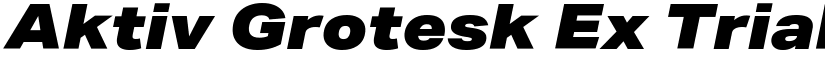 Aktiv Grotesk Ex Trial Black Italic font