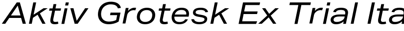 Aktiv Grotesk Ex Trial Italic font