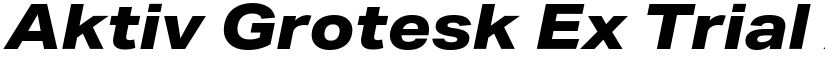 Aktiv Grotesk Ex Trial XBold Italic font