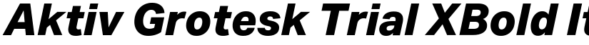 Aktiv Grotesk Trial XBold Italic font