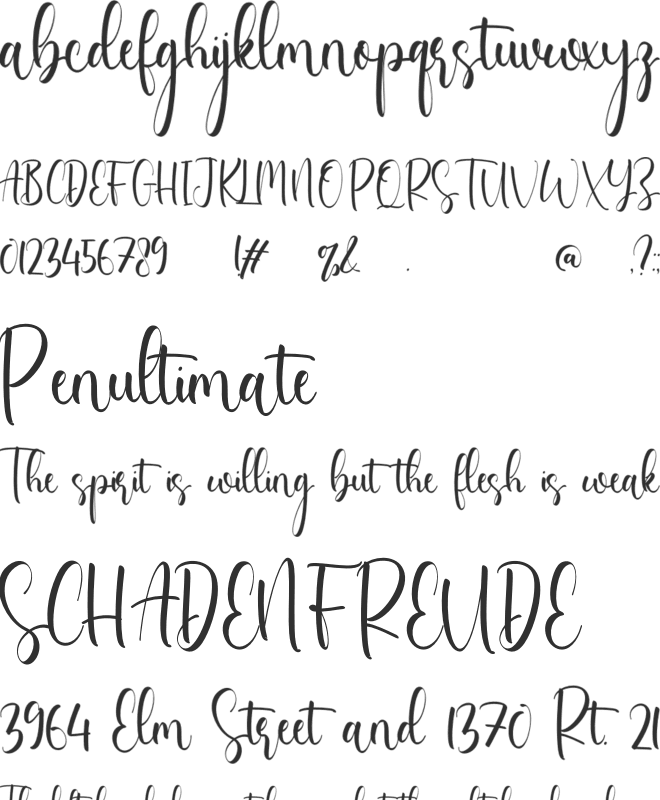Ryleighi font preview