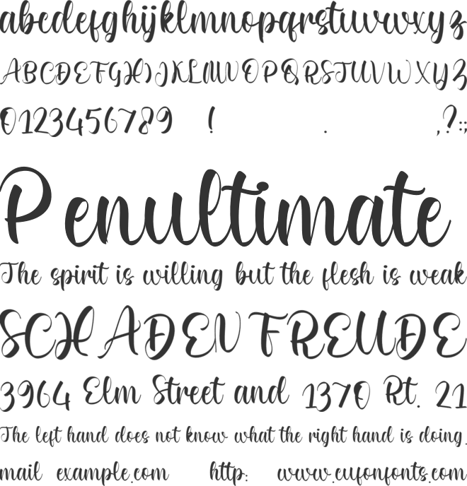 Rosalie font preview
