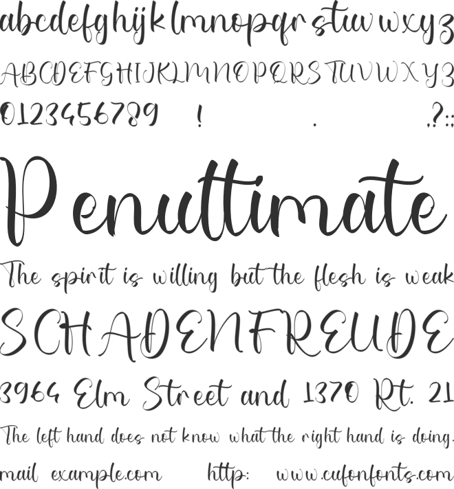 Louise font preview