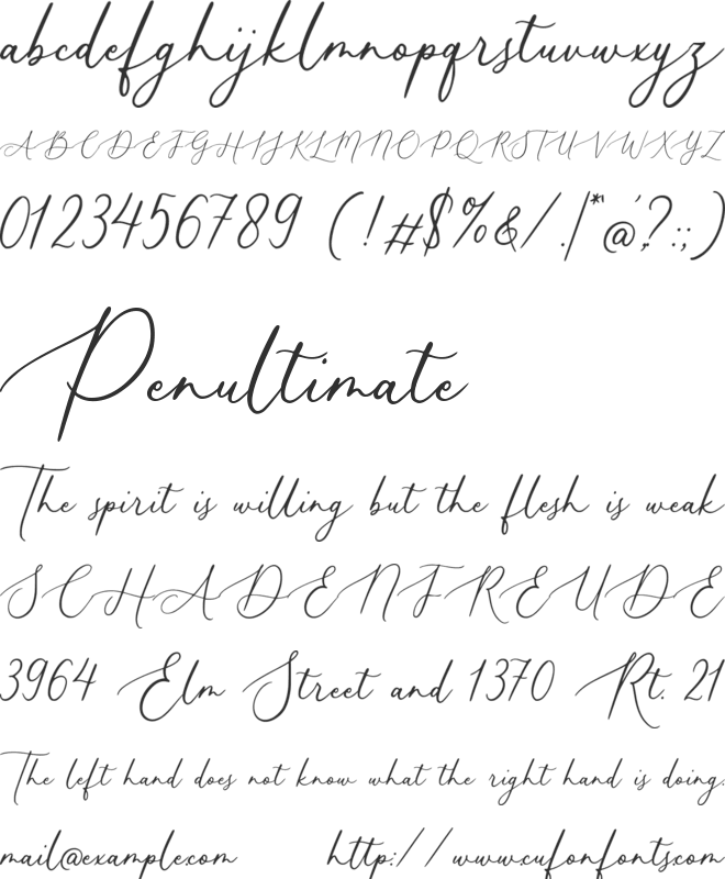 Calligrathink font preview
