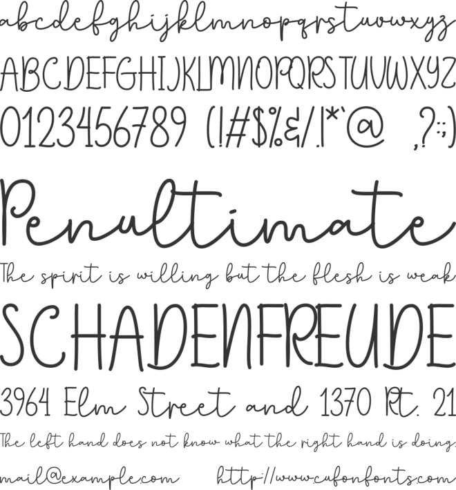 Nellisa - Personal Use font preview