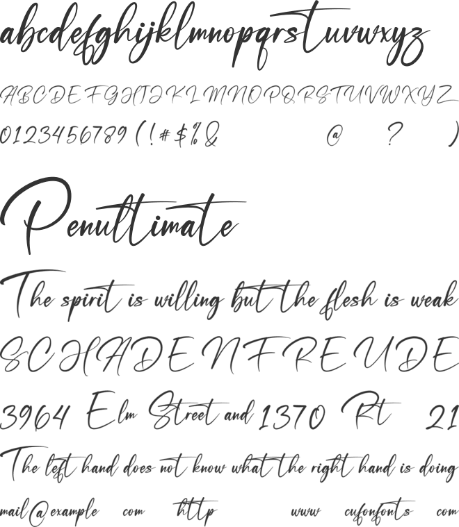 Shiny Sign font preview