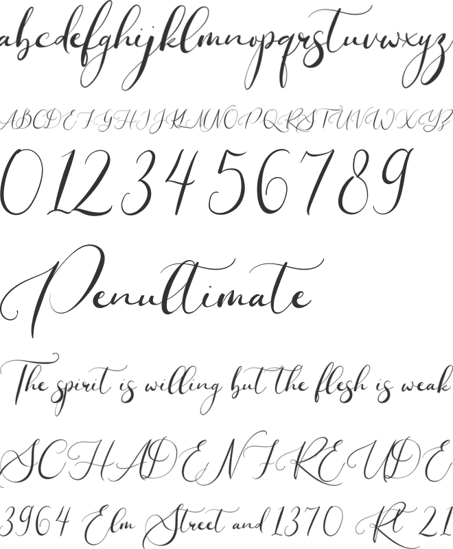 Elisabeth Raelyn font preview