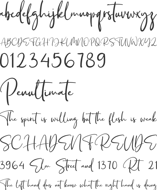 Rhodium font preview