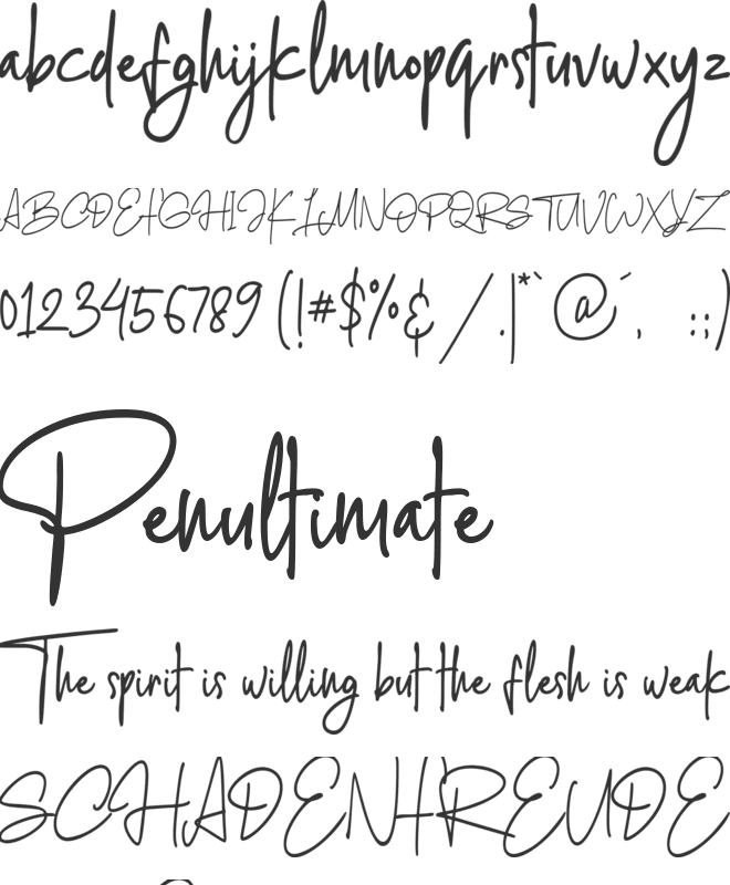 Blinkwomen font preview