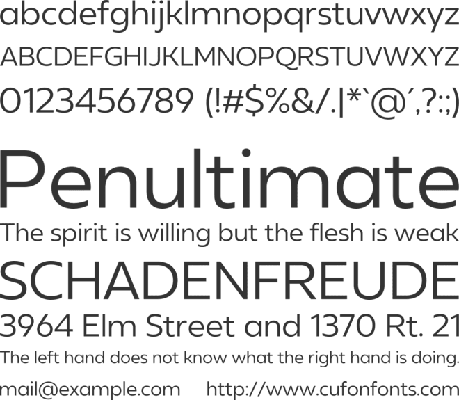 Neue Reman Sans font preview