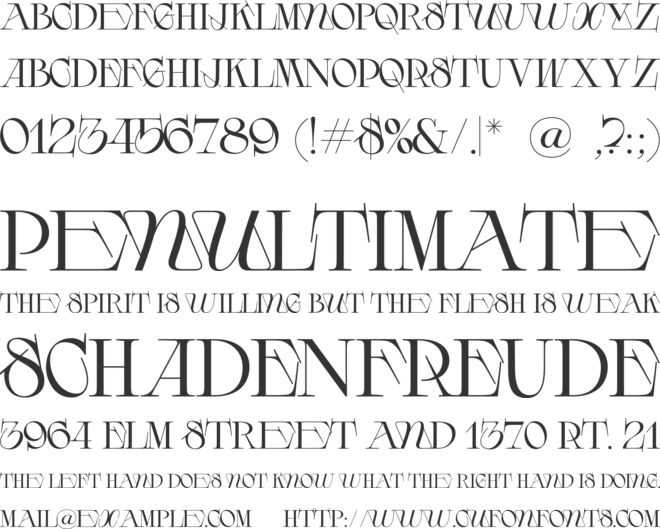 DRUZHOK font preview