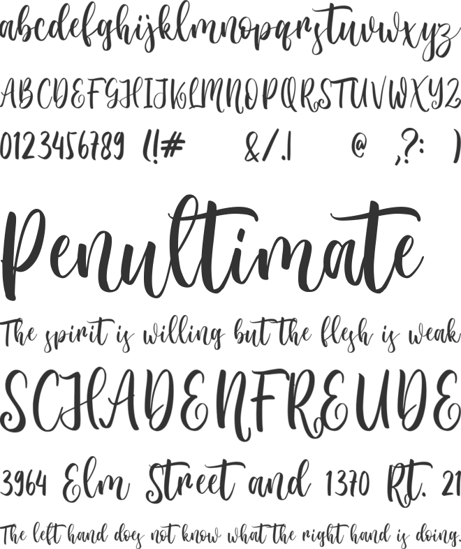 Renatta Victorina font preview