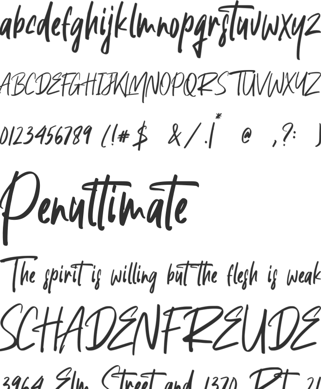 Agustine Roland font preview