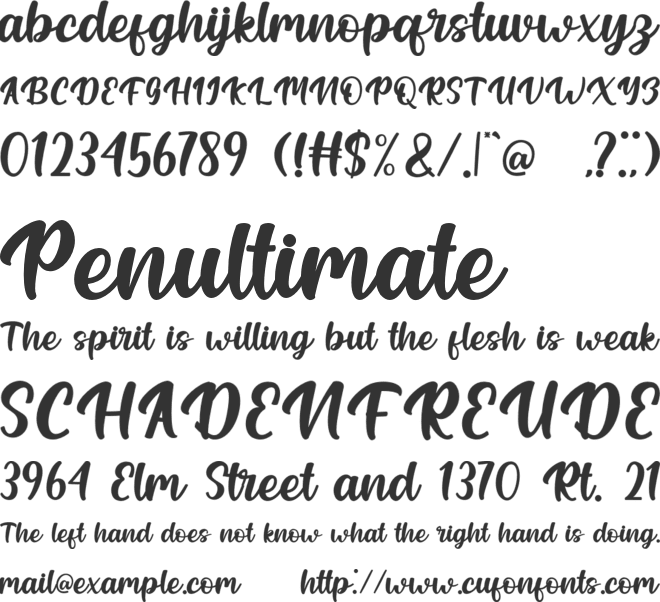 Cartline Brush font preview