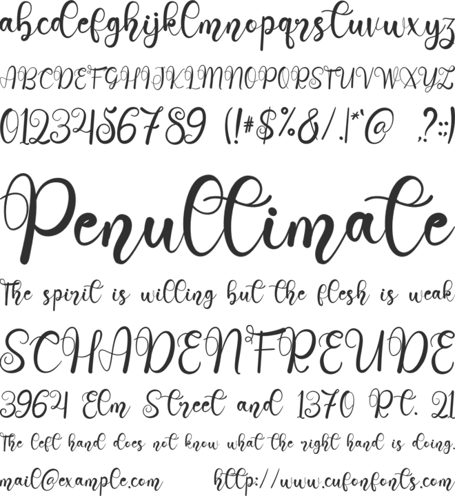 Wedding Holiday font preview