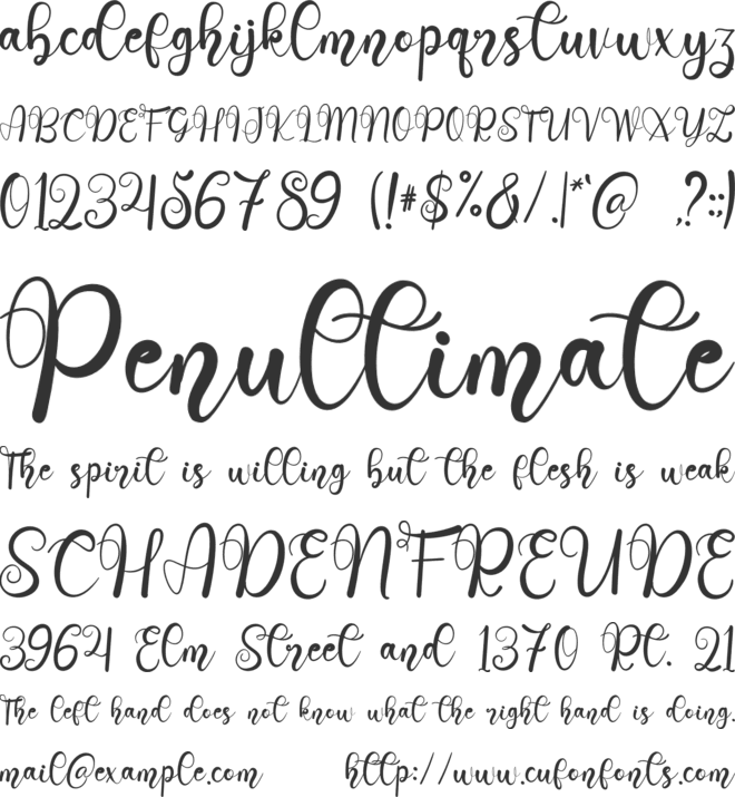 Wedding Holiday font preview