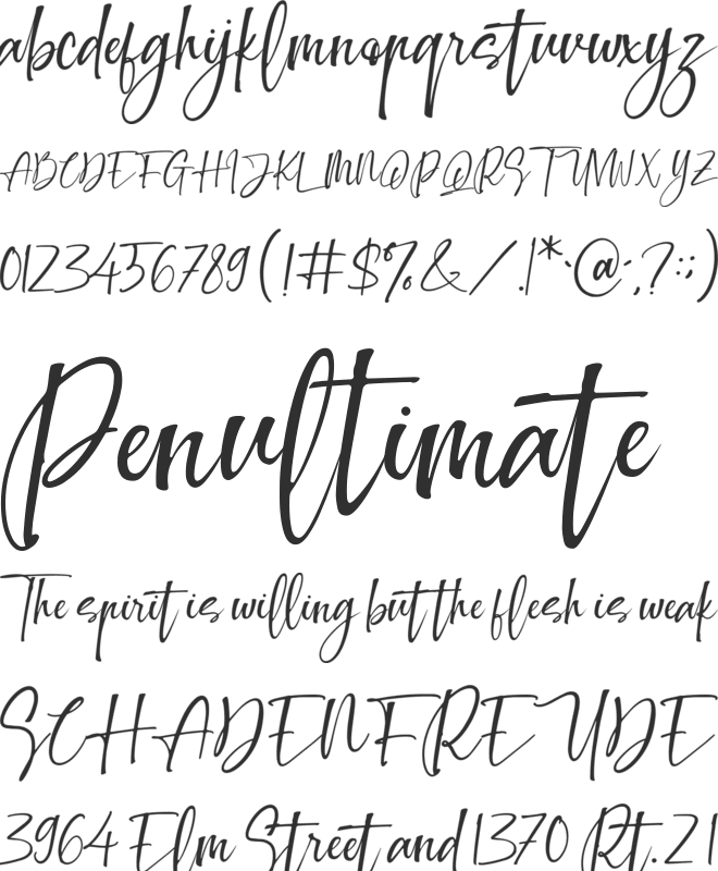 Making Signature font preview