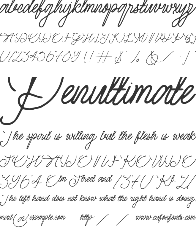 Anderson Wakler font preview