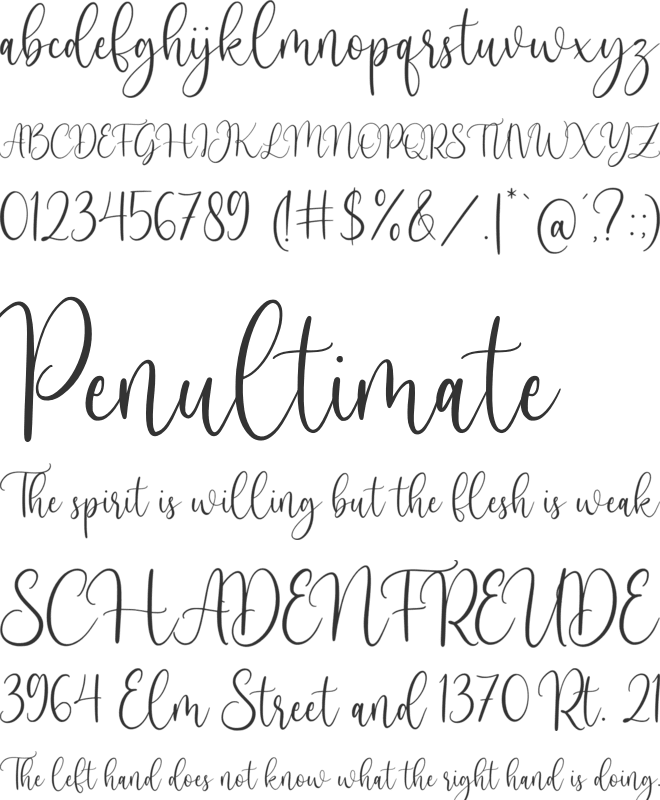 Bullvetti font preview