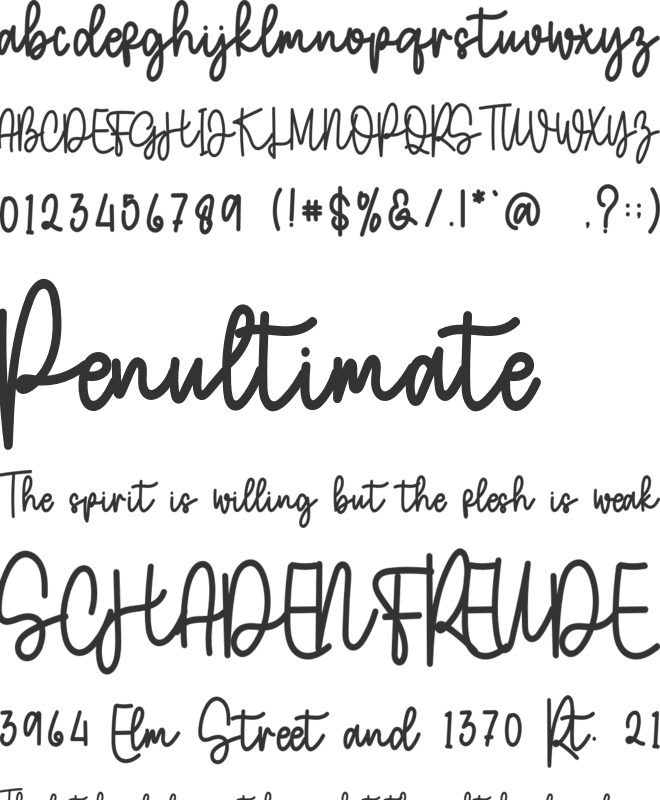 Wedding Handmade font preview