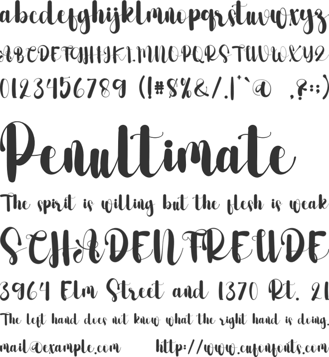 Fashions font preview