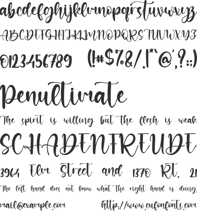 Manuscript font preview